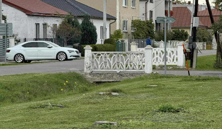 Brigáda - výsadba stromov pri obecnom úrade