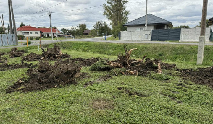 Brigáda - výsadba stromov pri obecnom úrade