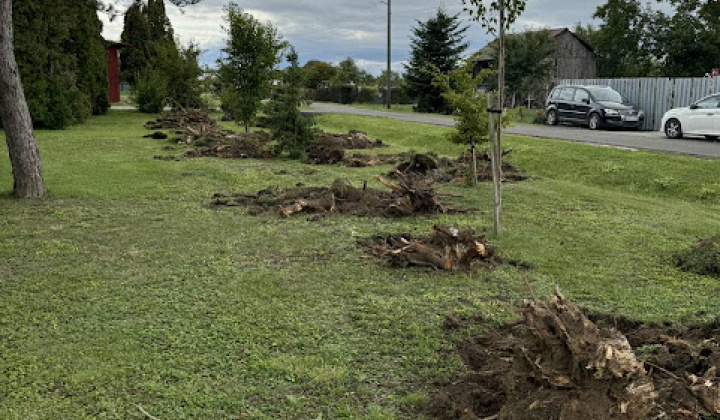 Brigáda - výsadba stromov pri obecnom úrade