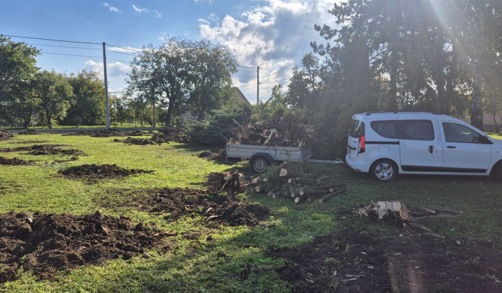 Brigáda - výsadba stromov pri obecnom úrade