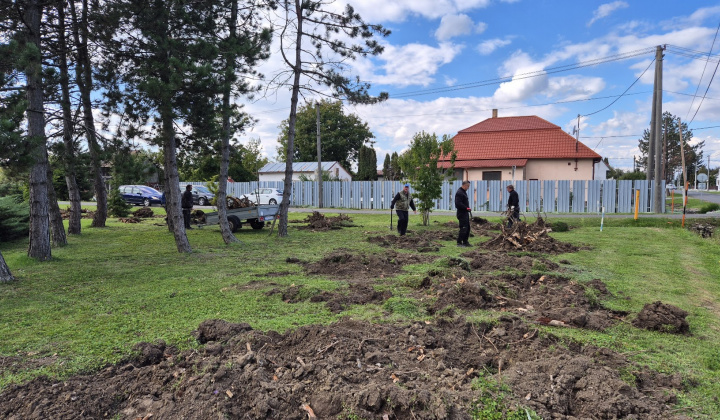 Brigáda - výsadba stromov pri obecnom úrade