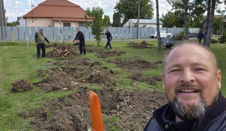 Brigáda - výsadba stromov pri obecnom úrade
