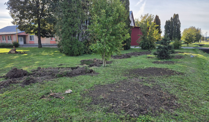 Brigáda - výsadba stromov pri obecnom úrade