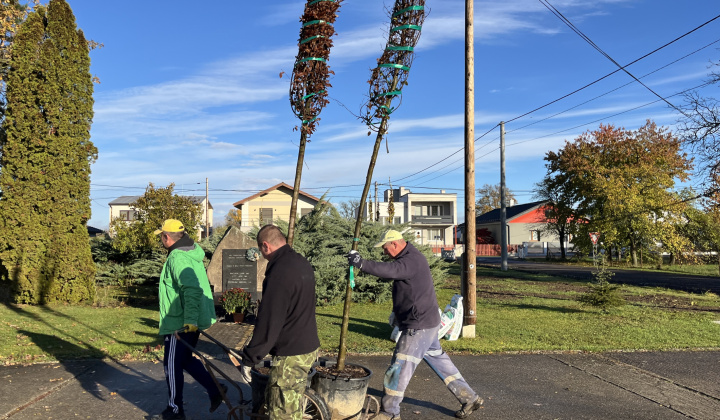 Brigáda - výsadba stromov pri obecnom úrade