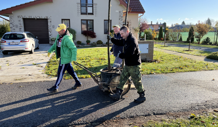 Brigáda - výsadba stromov pri obecnom úrade