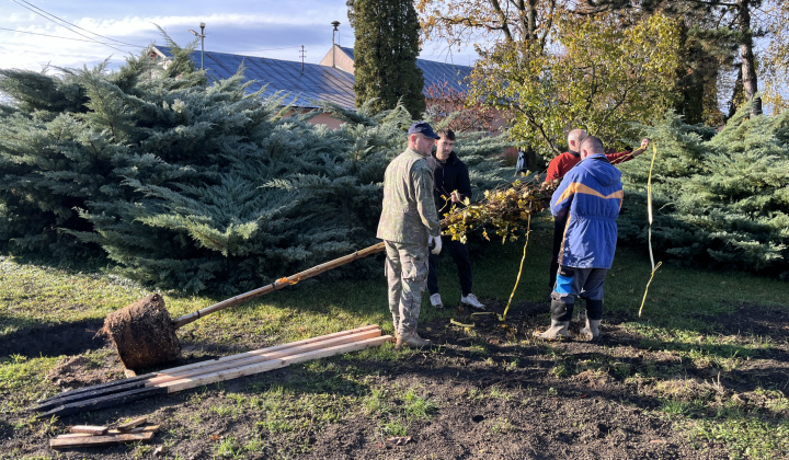 Brigáda - výsadba stromov pri obecnom úrade
