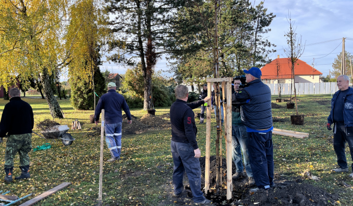 Brigáda - výsadba stromov pri obecnom úrade
