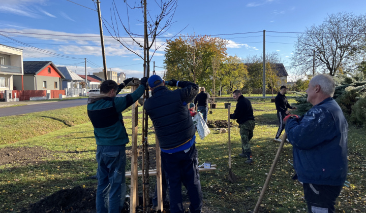 Brigáda - výsadba stromov pri obecnom úrade