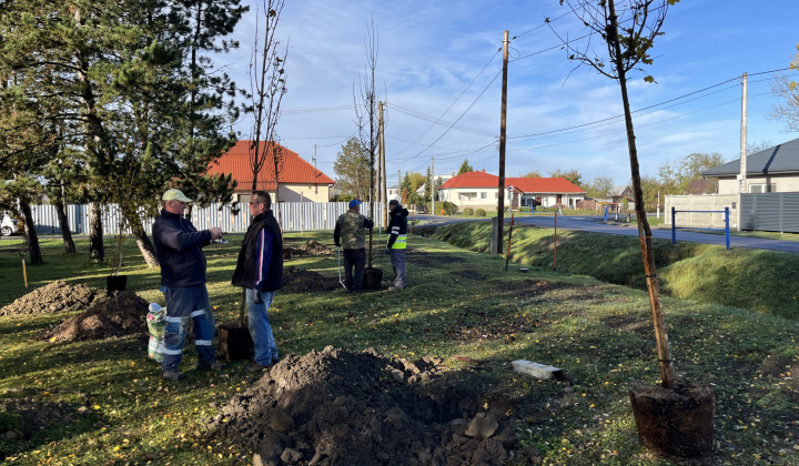 Brigáda - výsadba stromov pri obecnom úrade