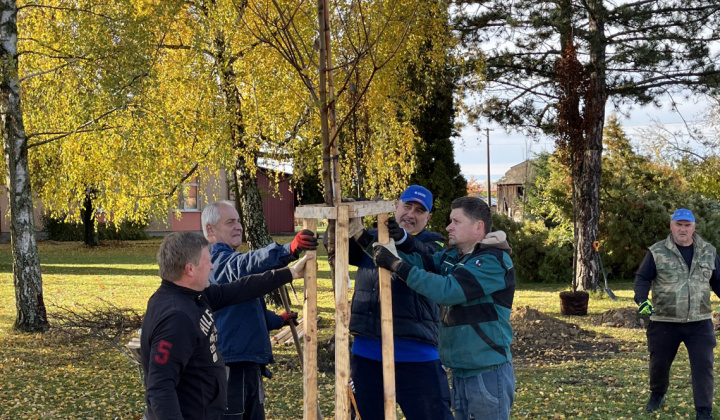 Brigáda - výsadba stromov pri obecnom úrade