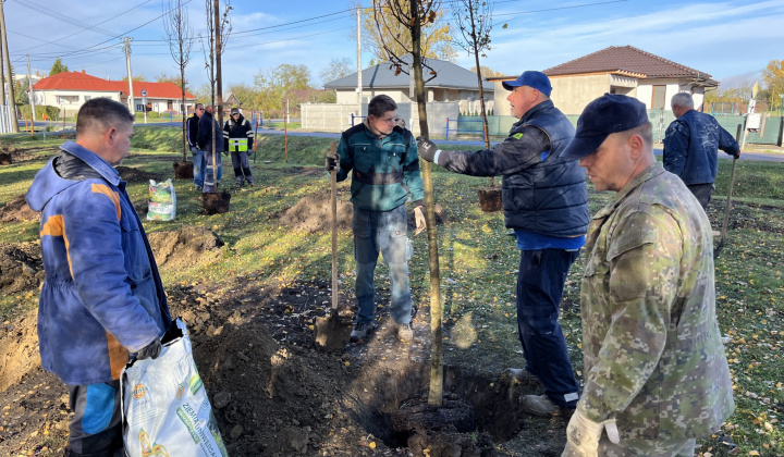 Brigáda - výsadba stromov pri obecnom úrade