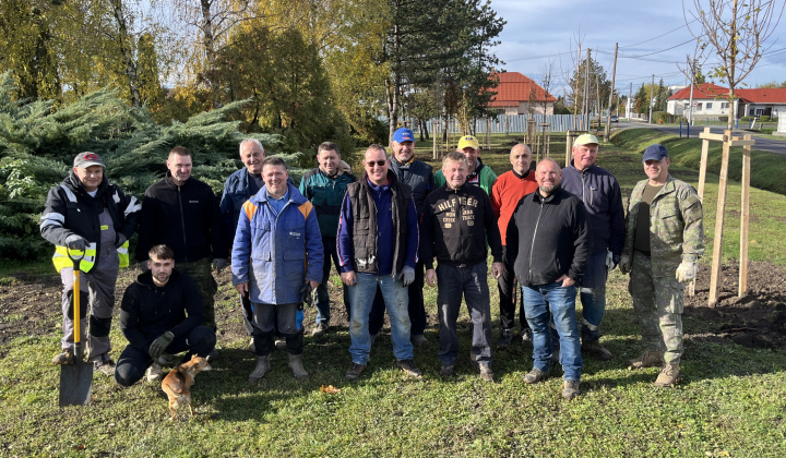 Brigáda - výsadba stromov pri obecnom úrade