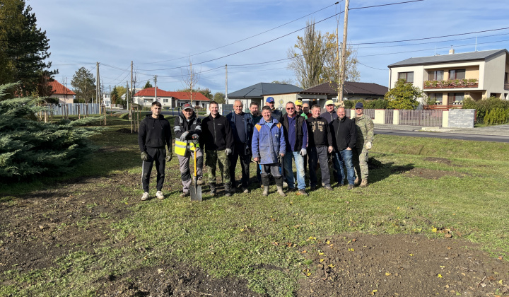 Brigáda - výsadba stromov pri obecnom úrade