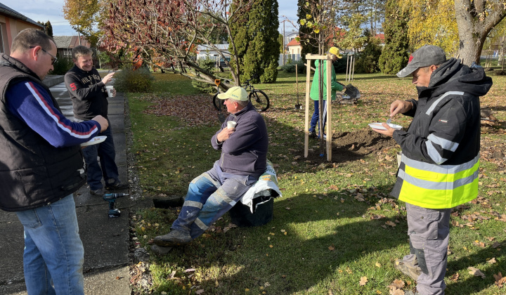 Brigáda - výsadba stromov pri obecnom úrade