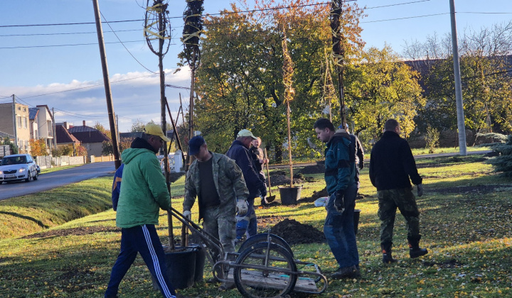 Brigáda - výsadba stromov pri obecnom úrade