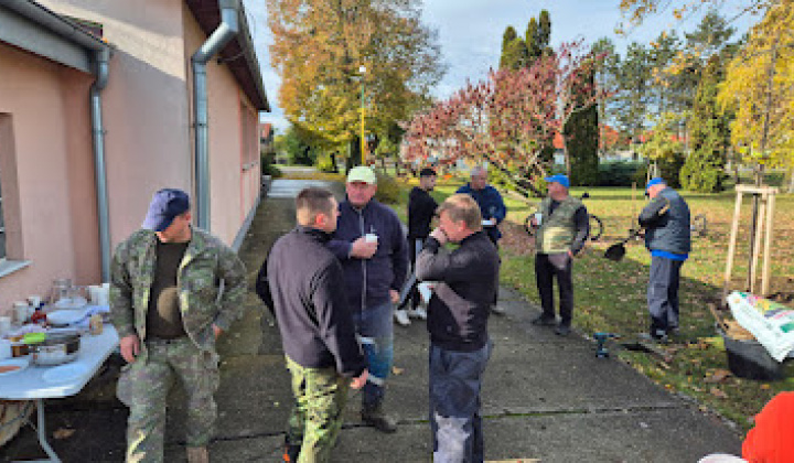 Brigáda - výsadba stromov pri obecnom úrade