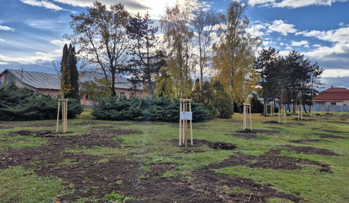 Brigáda - výsadba stromov pri obecnom úrade