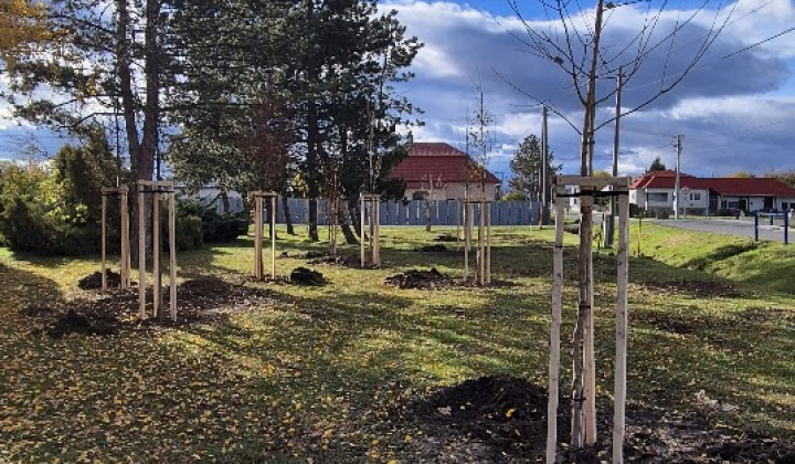 Brigáda - výsadba stromov pri obecnom úrade