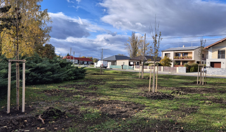 Brigáda - výsadba stromov pri obecnom úrade