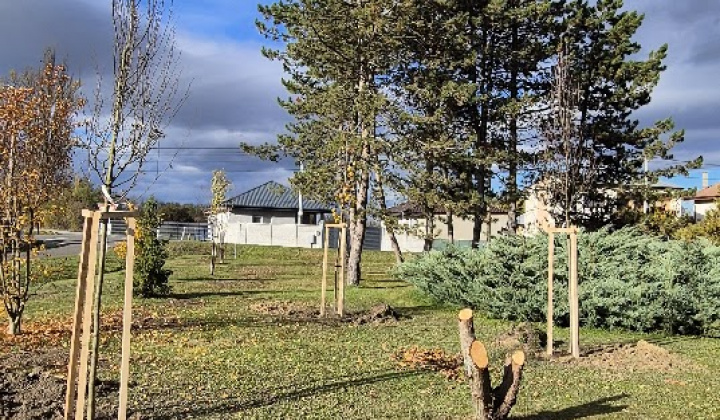 Brigáda - výsadba stromov pri obecnom úrade