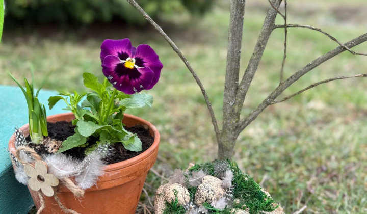 Veľkonočná výzdoba