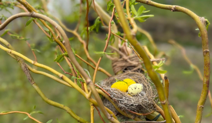 Veľkonočná výzdoba