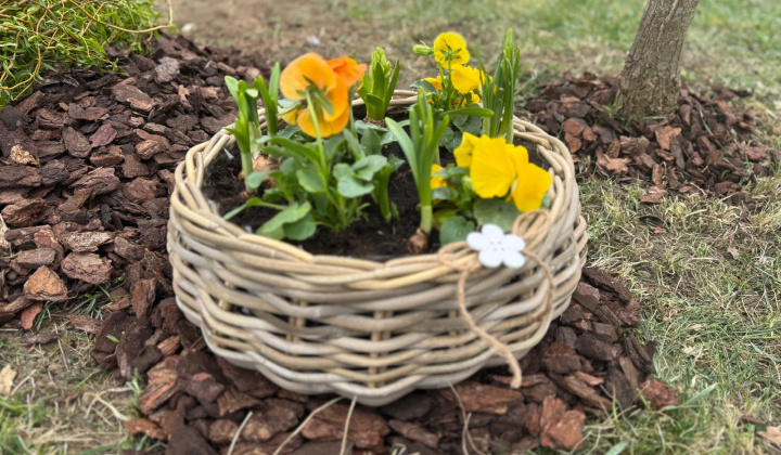 Veľkonočná výzdoba