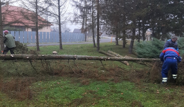 Rekultivácia zelene v našej obci