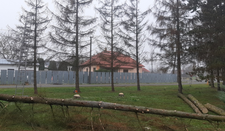 Rekultivácia zelene v našej obci