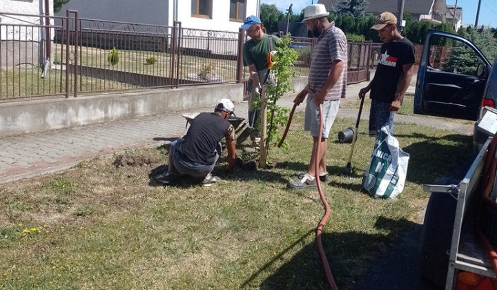 Rekultivácia zelene v našej obci