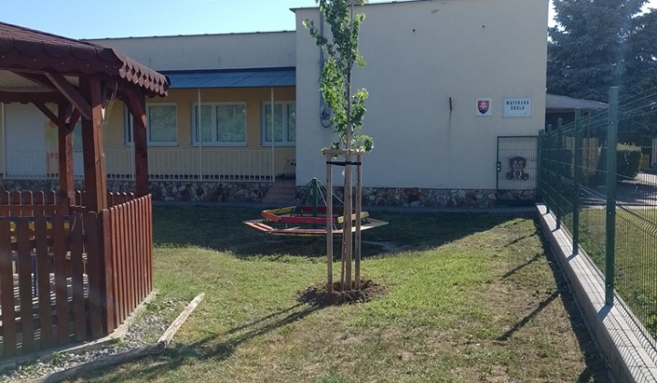 Rekultivácia zelene v našej obci