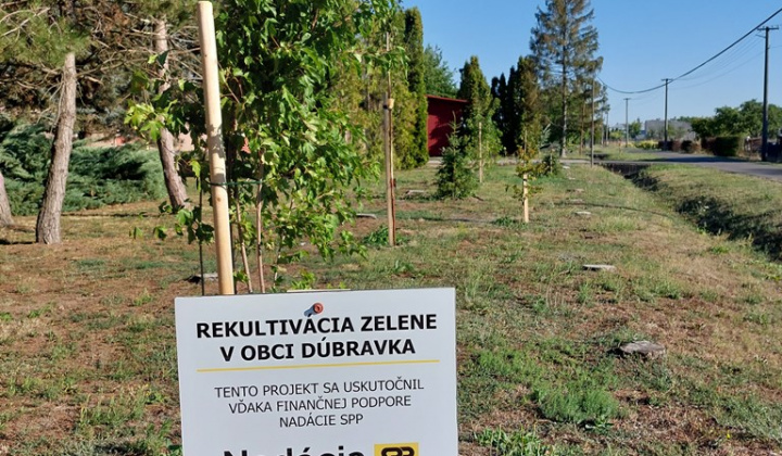 Rekultivácia zelene v našej obci