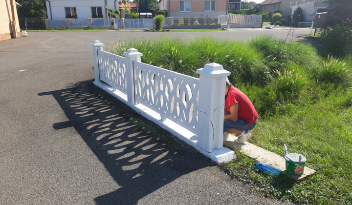 Maľovanie mostíkov