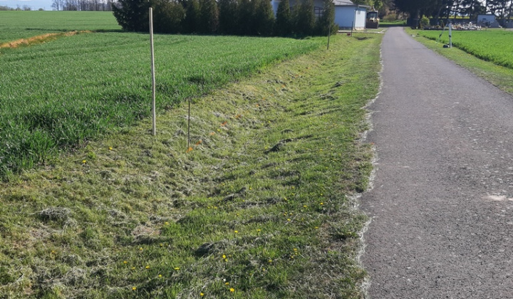 Aktuality / Svojpomocne zrealizované úpravy v obci - foto
