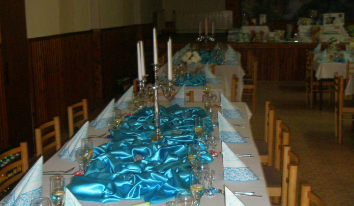 Obecný ples 2015