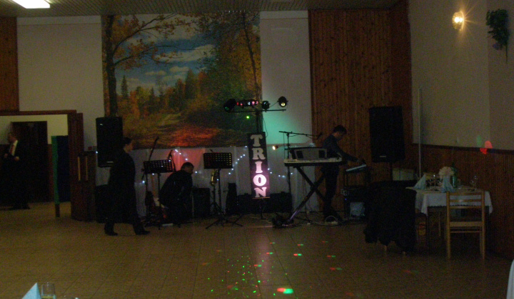 Obecný ples 2015