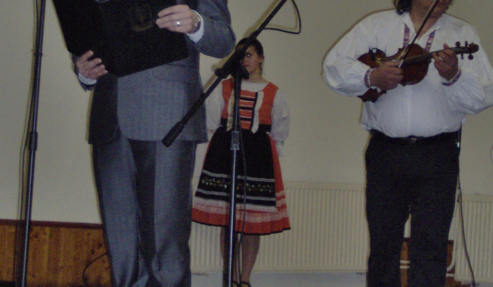 Nový rok 2017