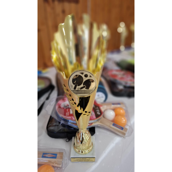 Stolnotenisový turnaj 2026 - obrazom