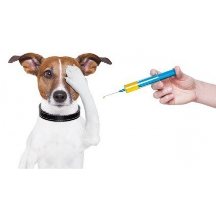 Vakcinácia psov a mačiek