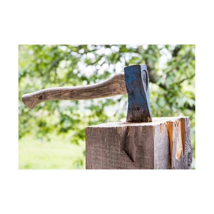 Výzva o plánovanom výrube drevín